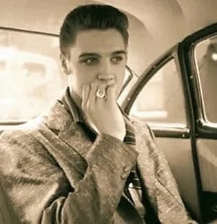 Elvis: Outside Of Graceland - Car Tour