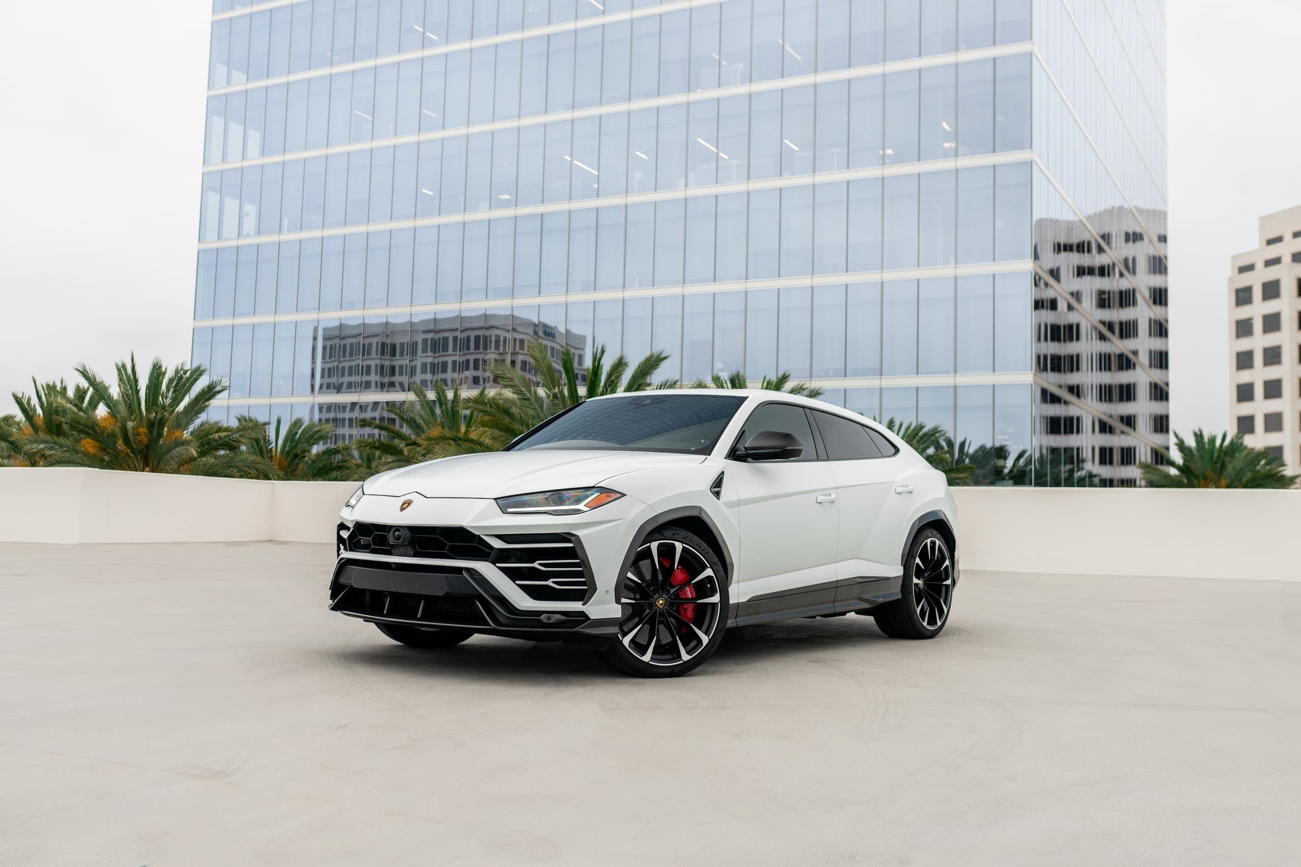 Matte White Lamborghini Urus