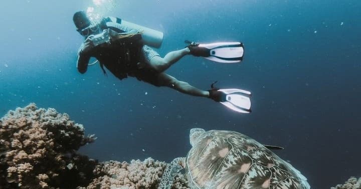 Shipwreck and Reef Dives