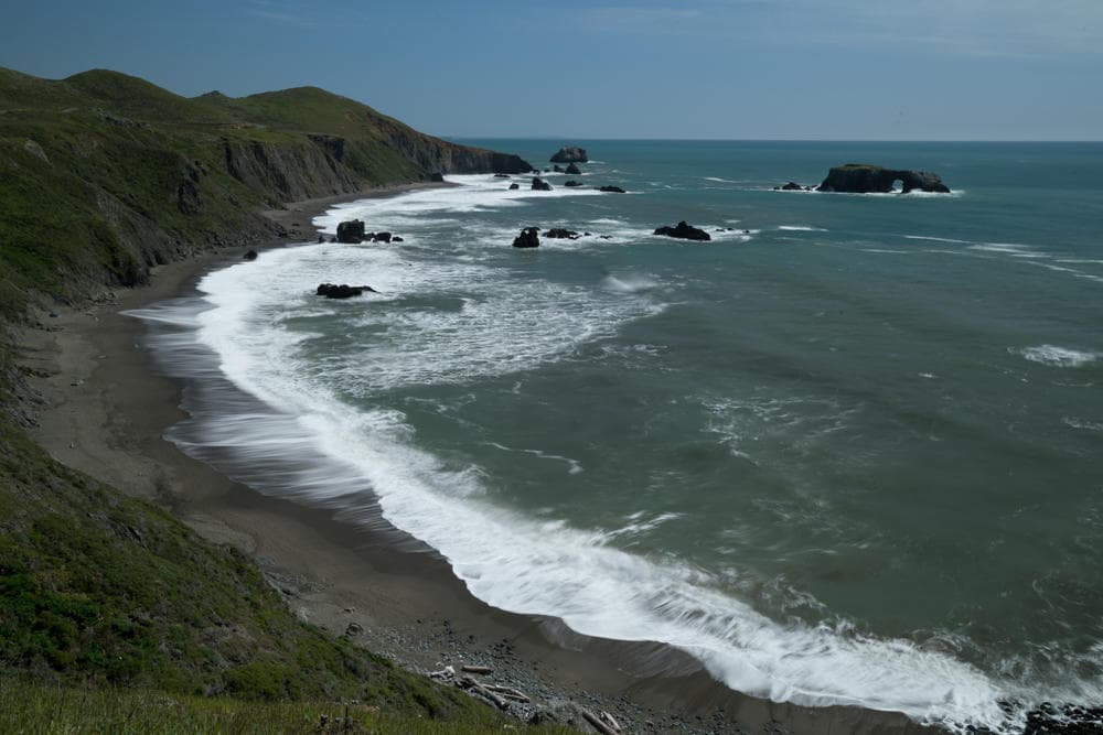 Hwy 1, Giant Redwoods, Sausalito and Coastline Day Trip