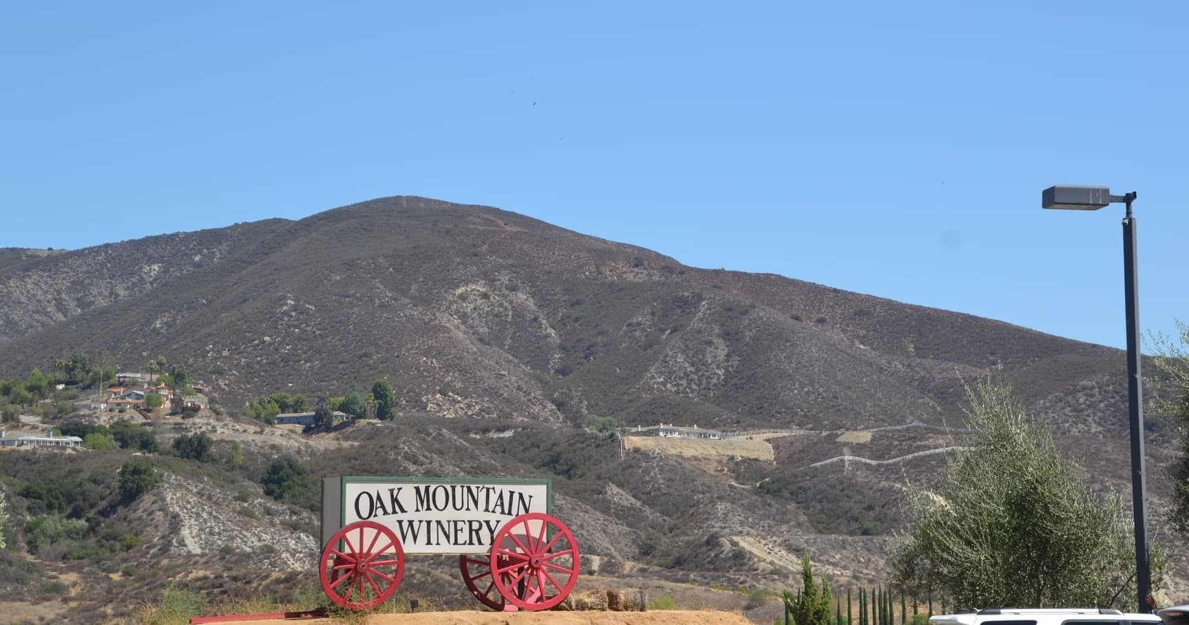 Winery Tour