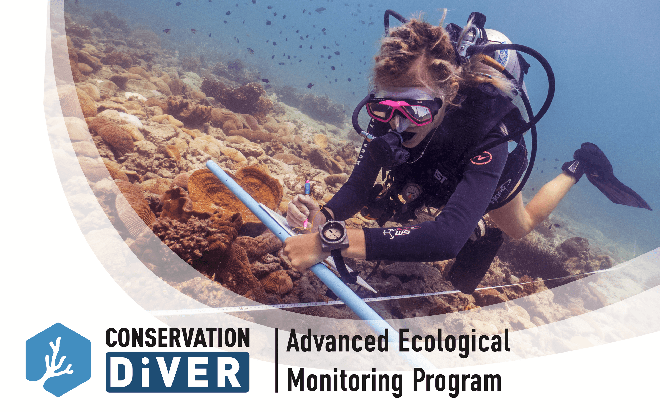 Marine Research Internship