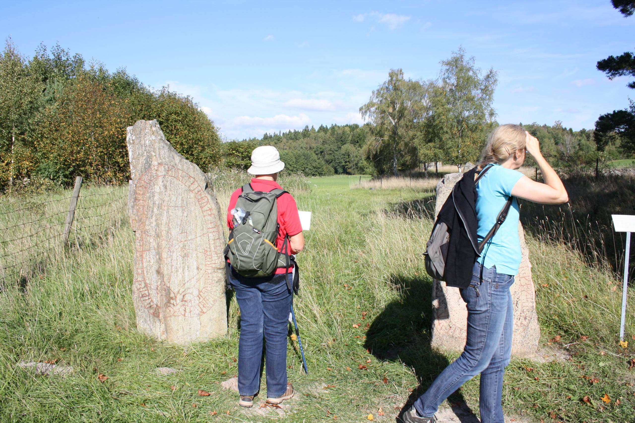 Private Swedish History and Countryside Tour