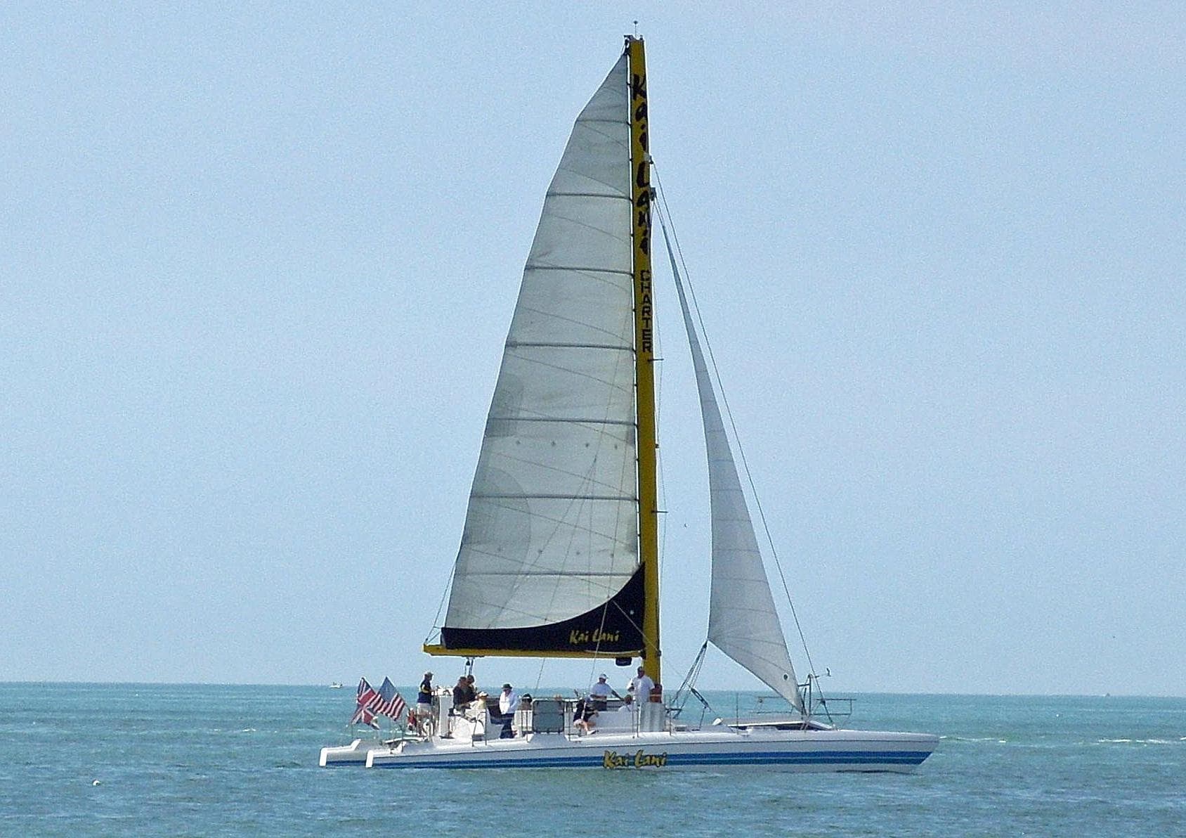 Daily Afternoon Dolphin Sails