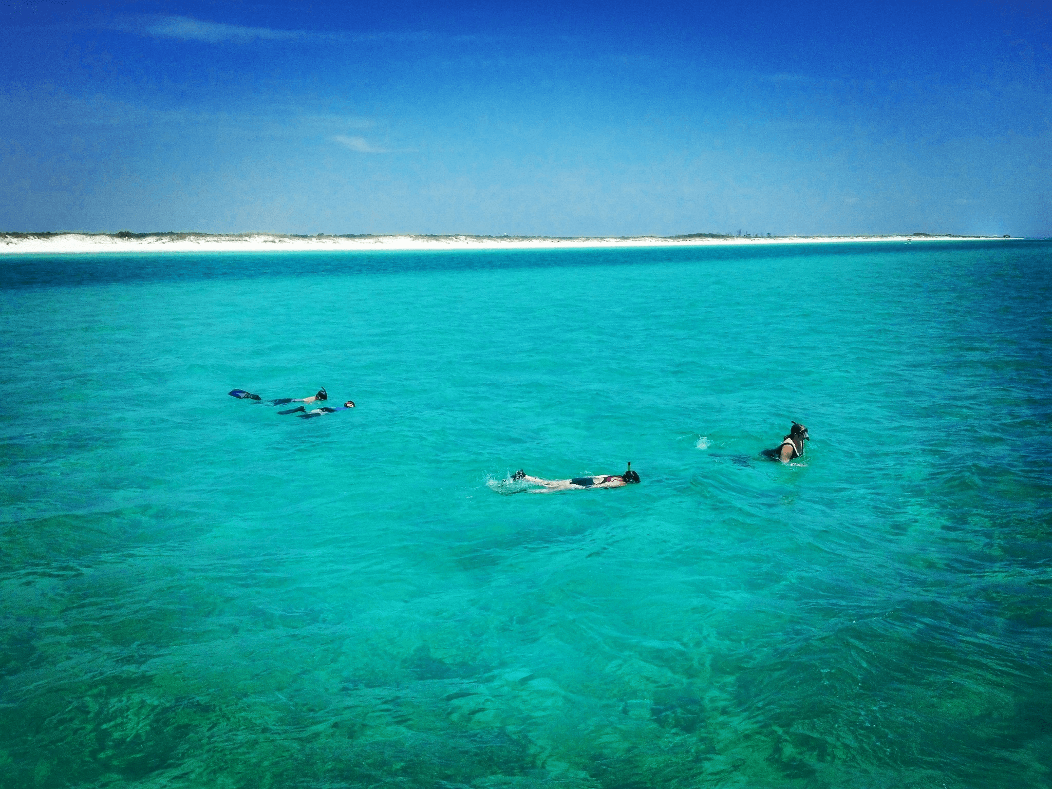 Two Hour Sightseeing/Dolphin Tour