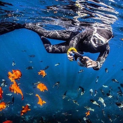 Snorkel Tour