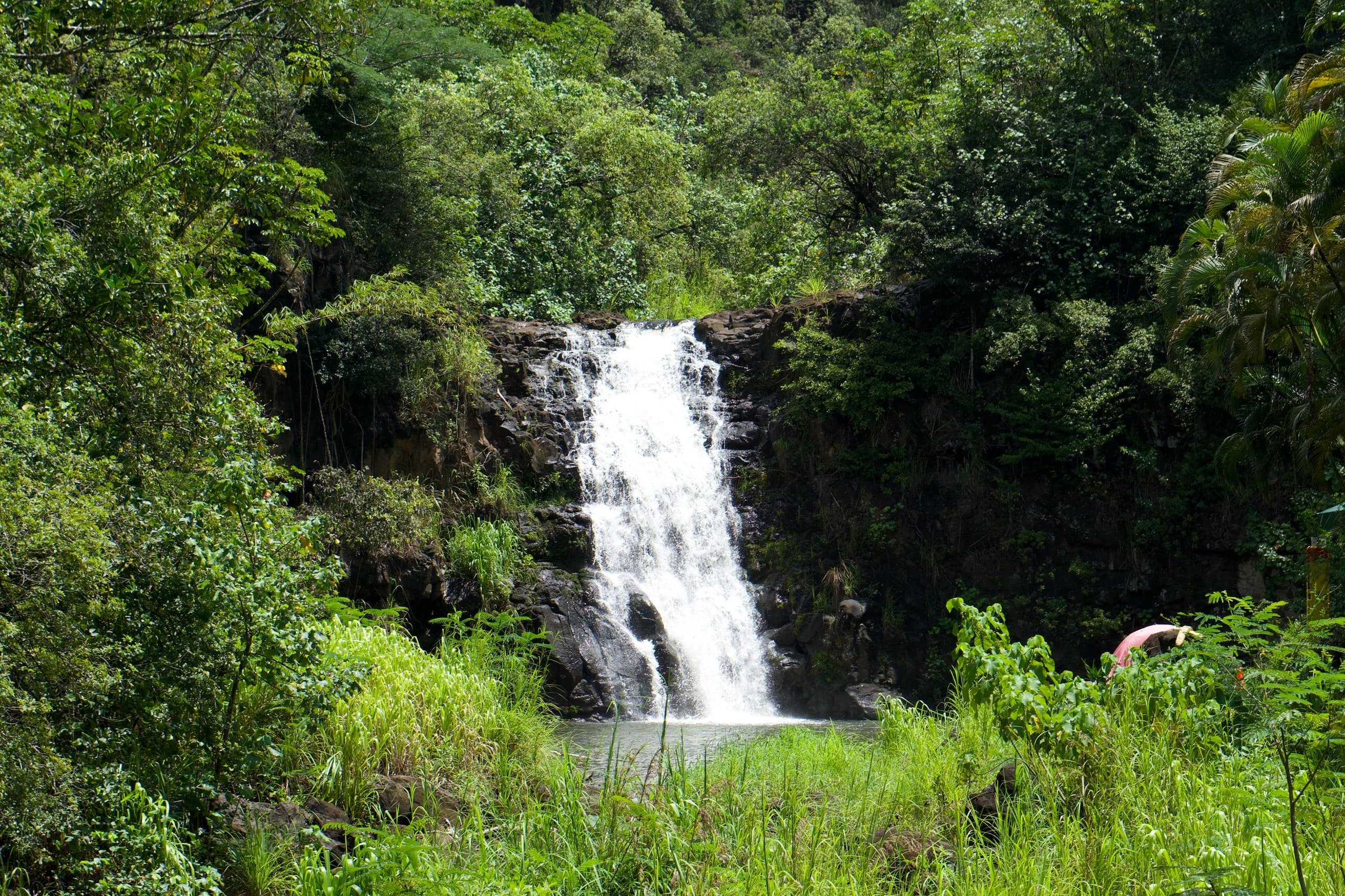 Private Oahu North Shore Tour - Waimea Valley & Waterfall Adventure