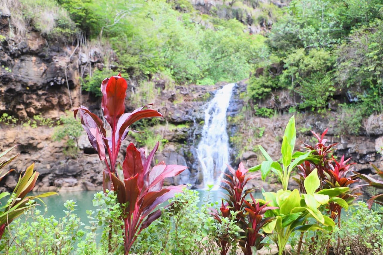 Nature and You: Waimea