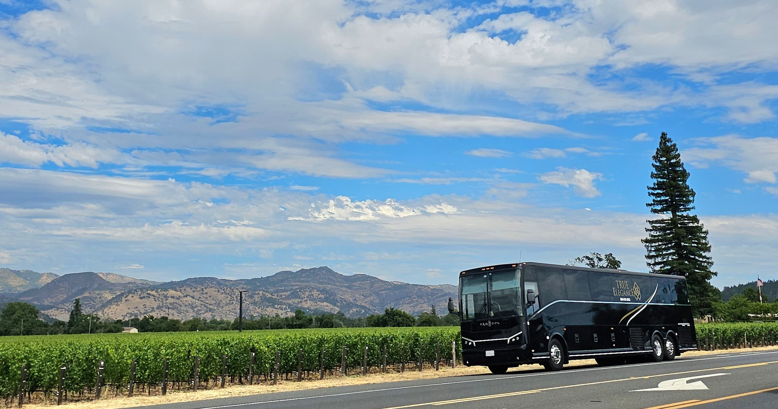 San Francisco International Airport to Hotel Yountville