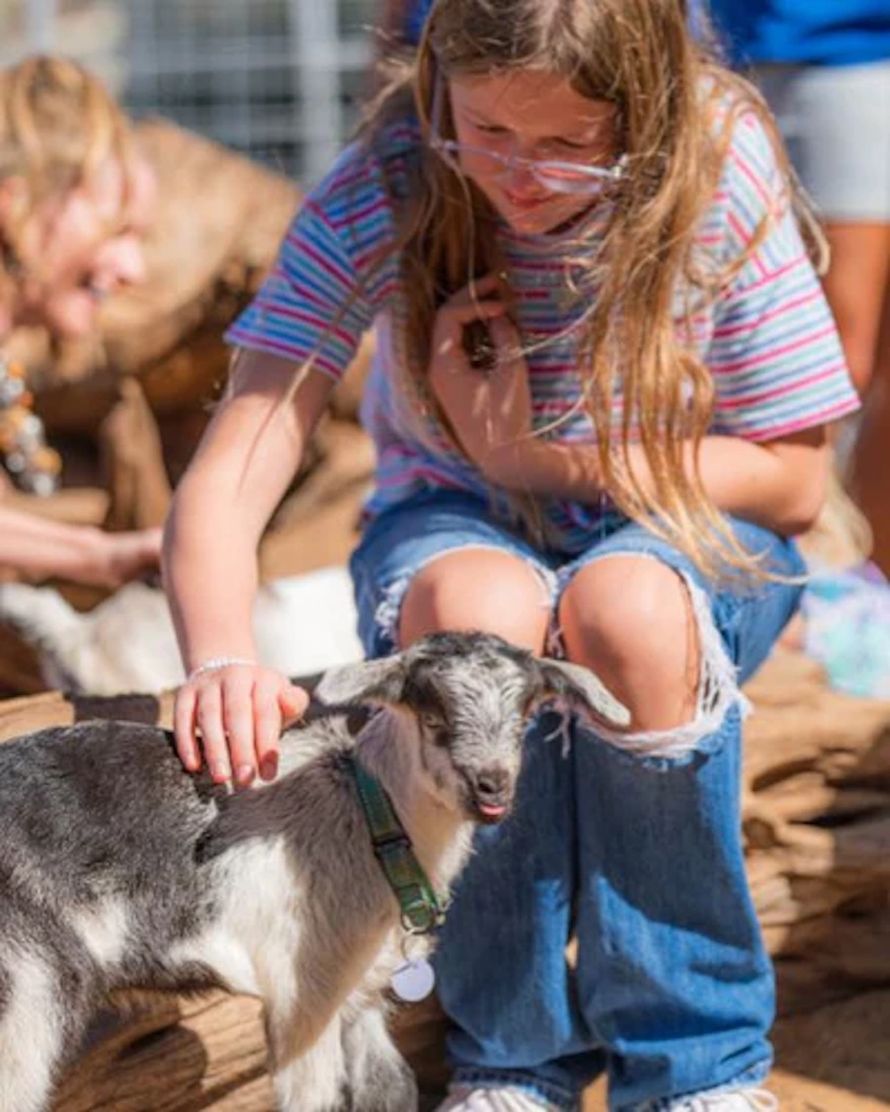 “Kid” Goat Interaction Experience