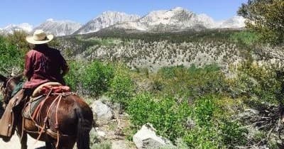 All Day Trail Ride