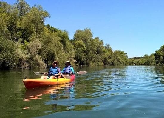 Healdsburg Kayak Tour