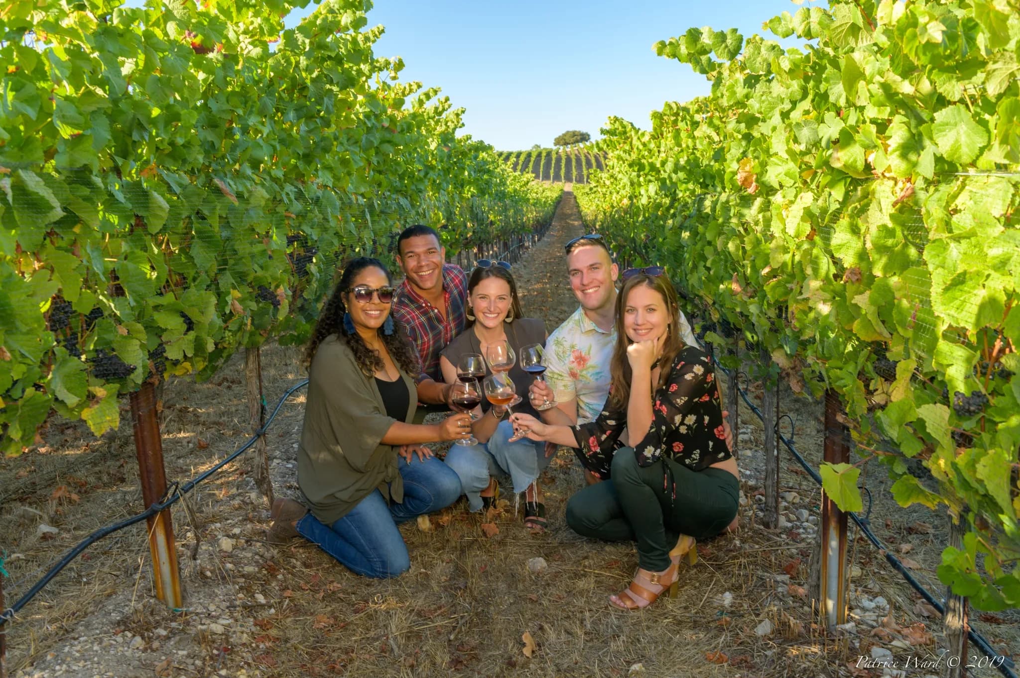 Albatross Ridge Vineyards Electric Bike Guided Tour & Wine Tasting