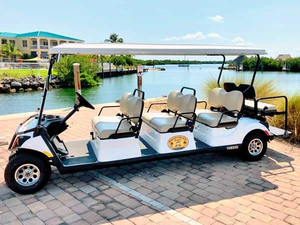 8 Seater Gas Golf Cart