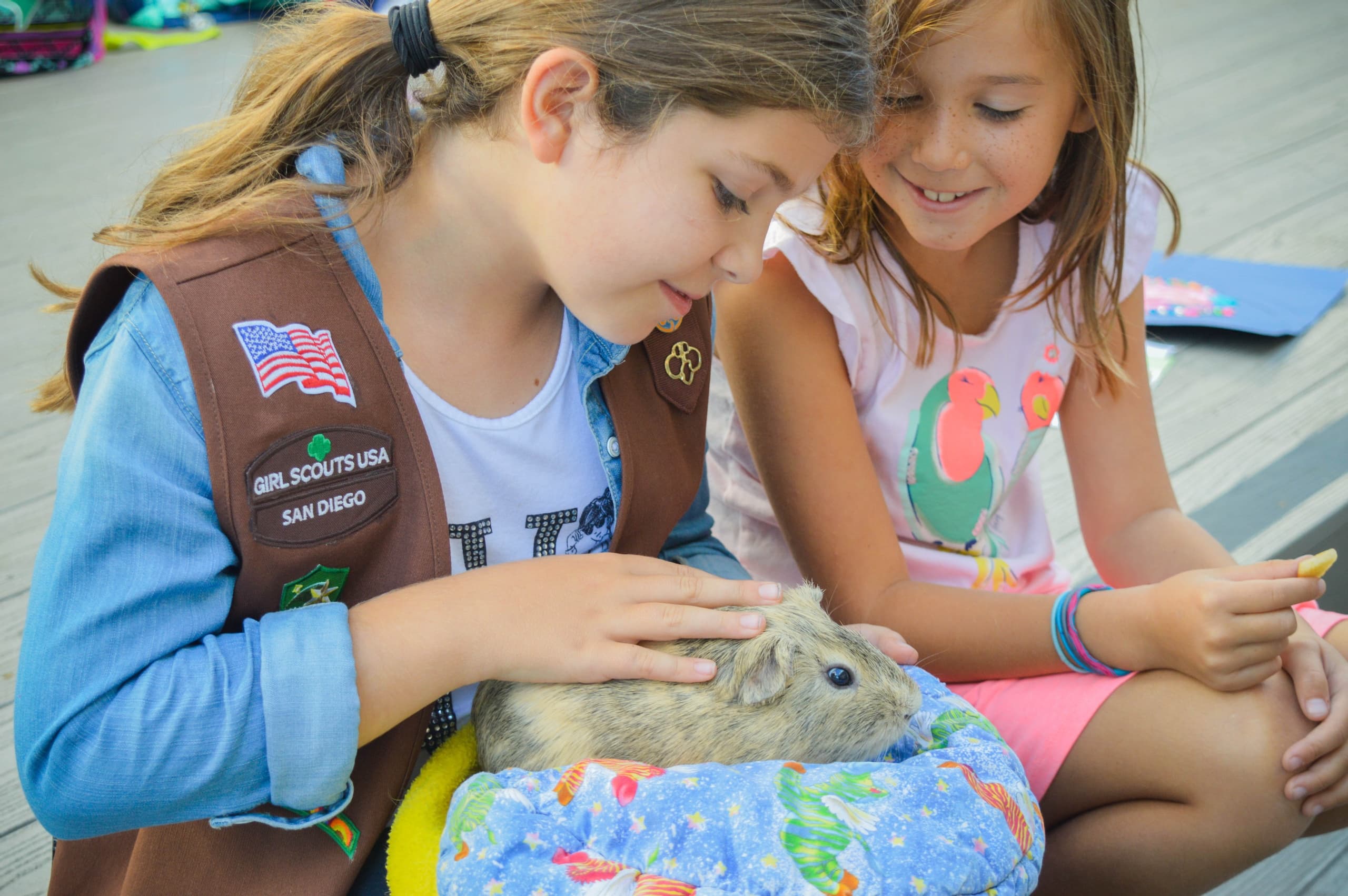 In-Person, 1 Hour Girl Scout / Boy Scout Program
