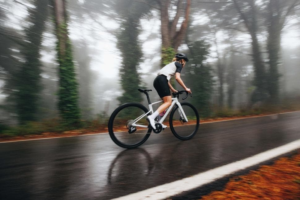 Performance Road Bike - 1 Day Rental