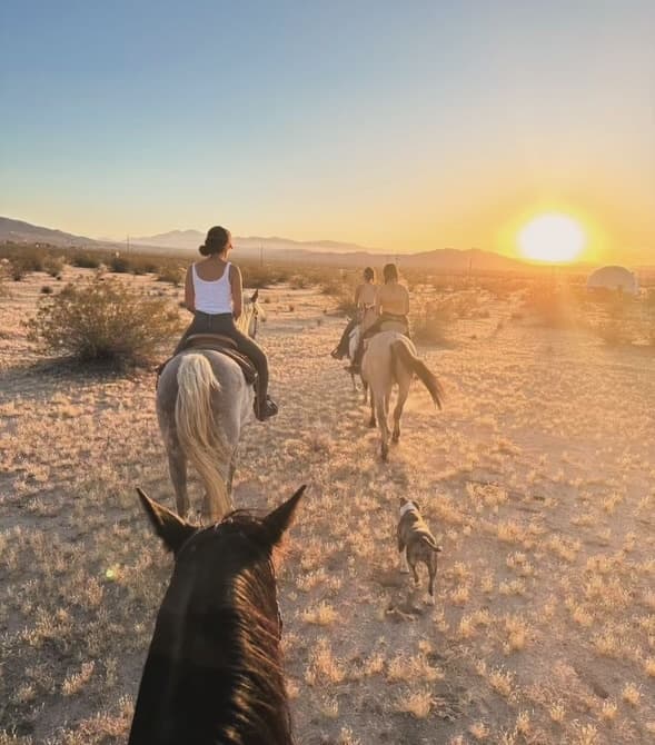 Sunset Trail Ride