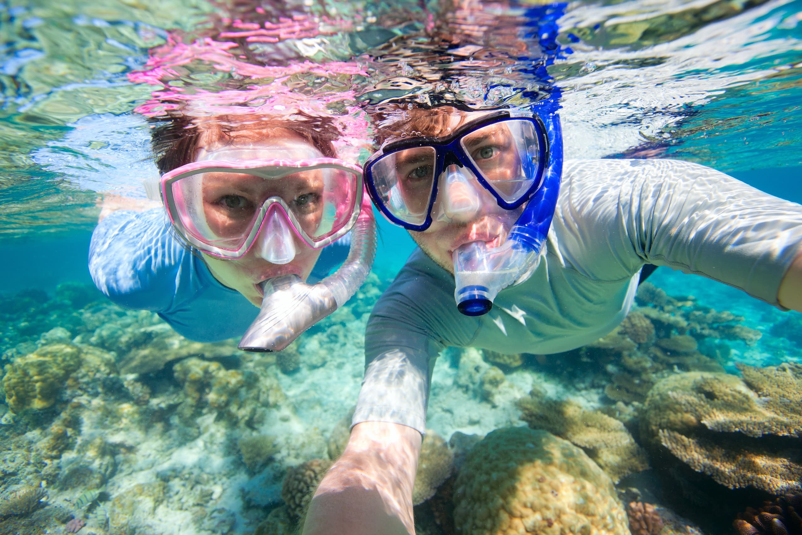 Guided Snorkel Tour - Waikiki
