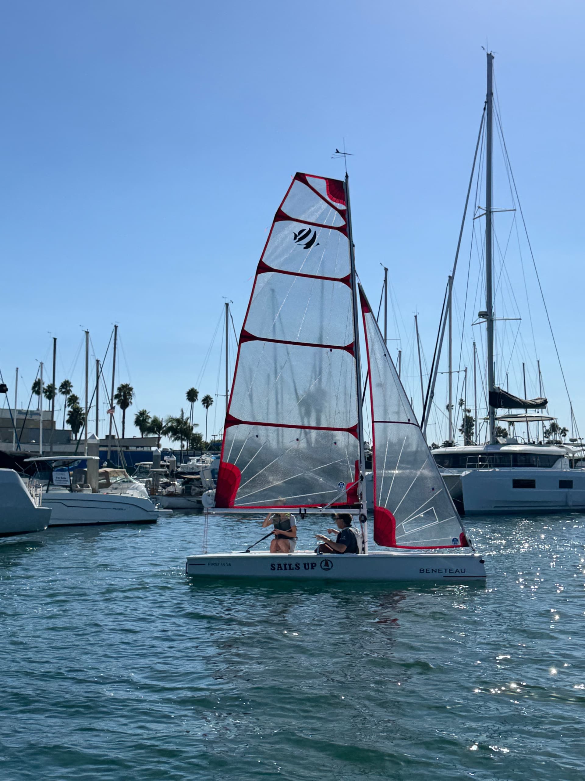 SAIL'S UP  FIRST 14