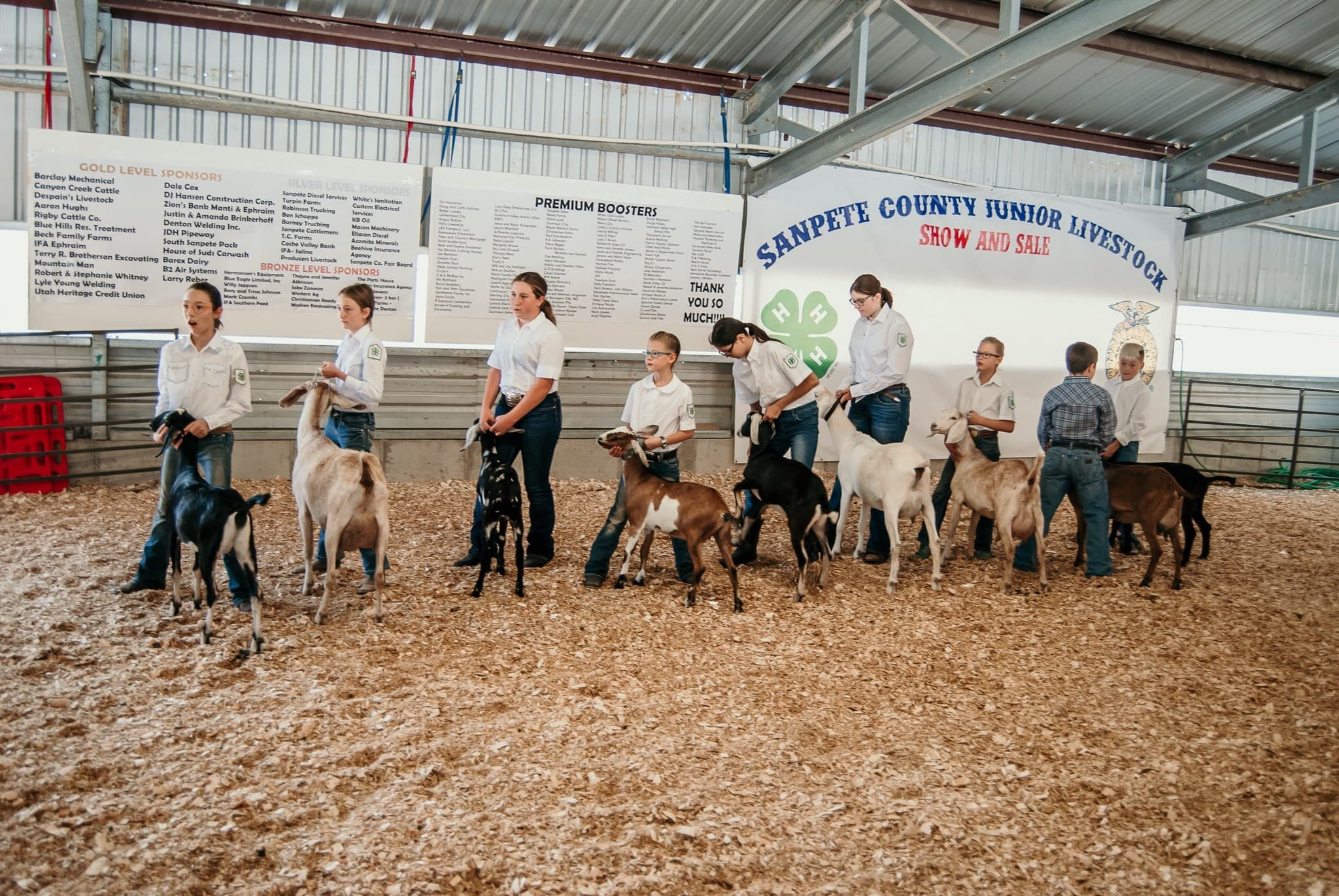 Large Animal Barn and Show Ring
