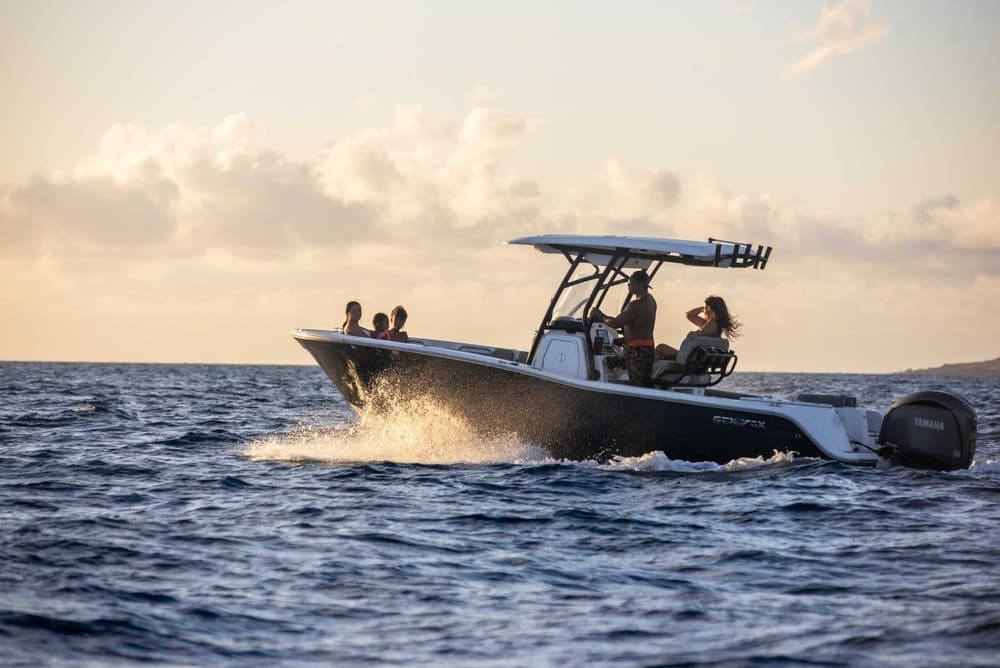 Sunset Cruise