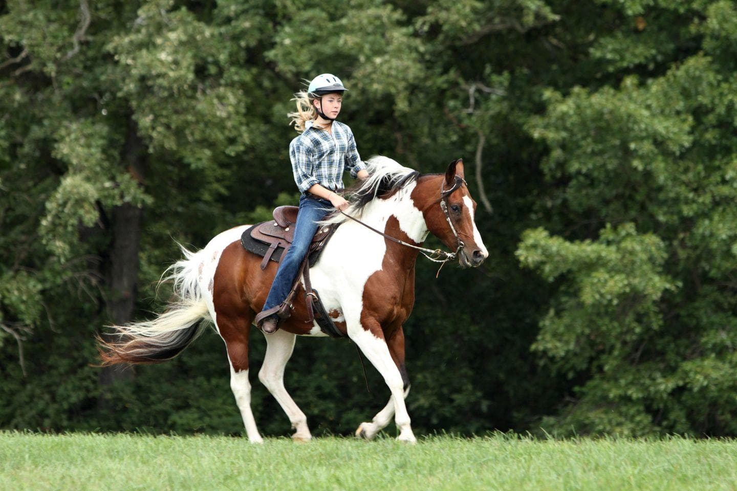 45 Minute Guided Trail Ride