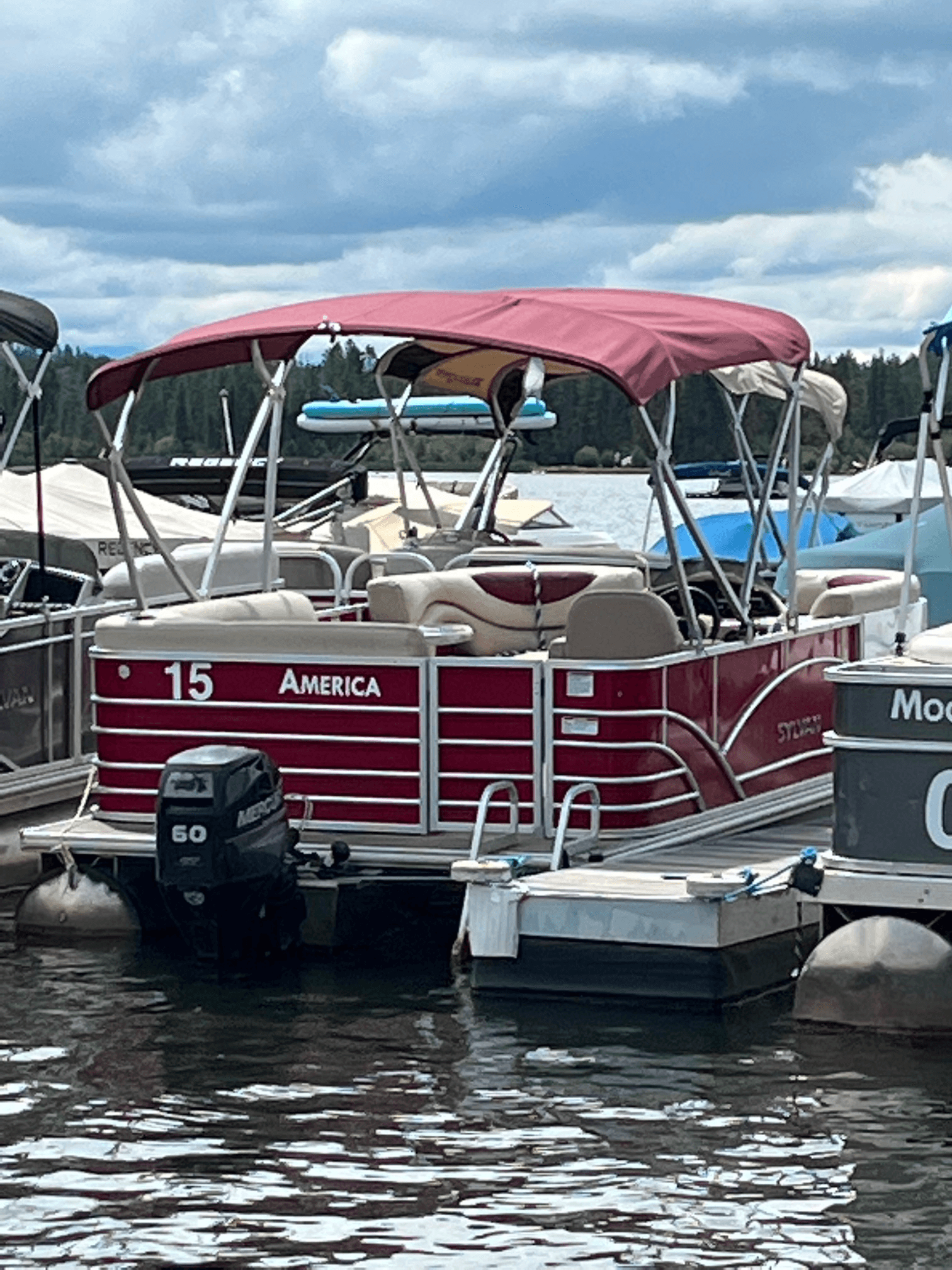 22' Pontoon (Pet Friendly)