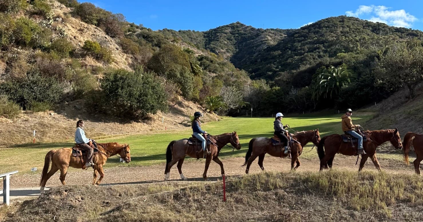 2 Hour Horse Trail Group Ride