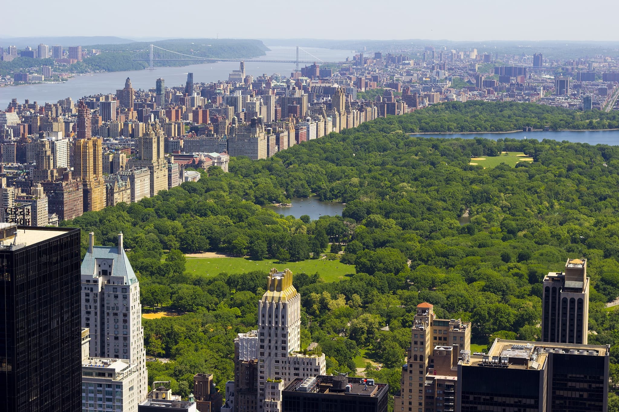 Central Park Walking Tour