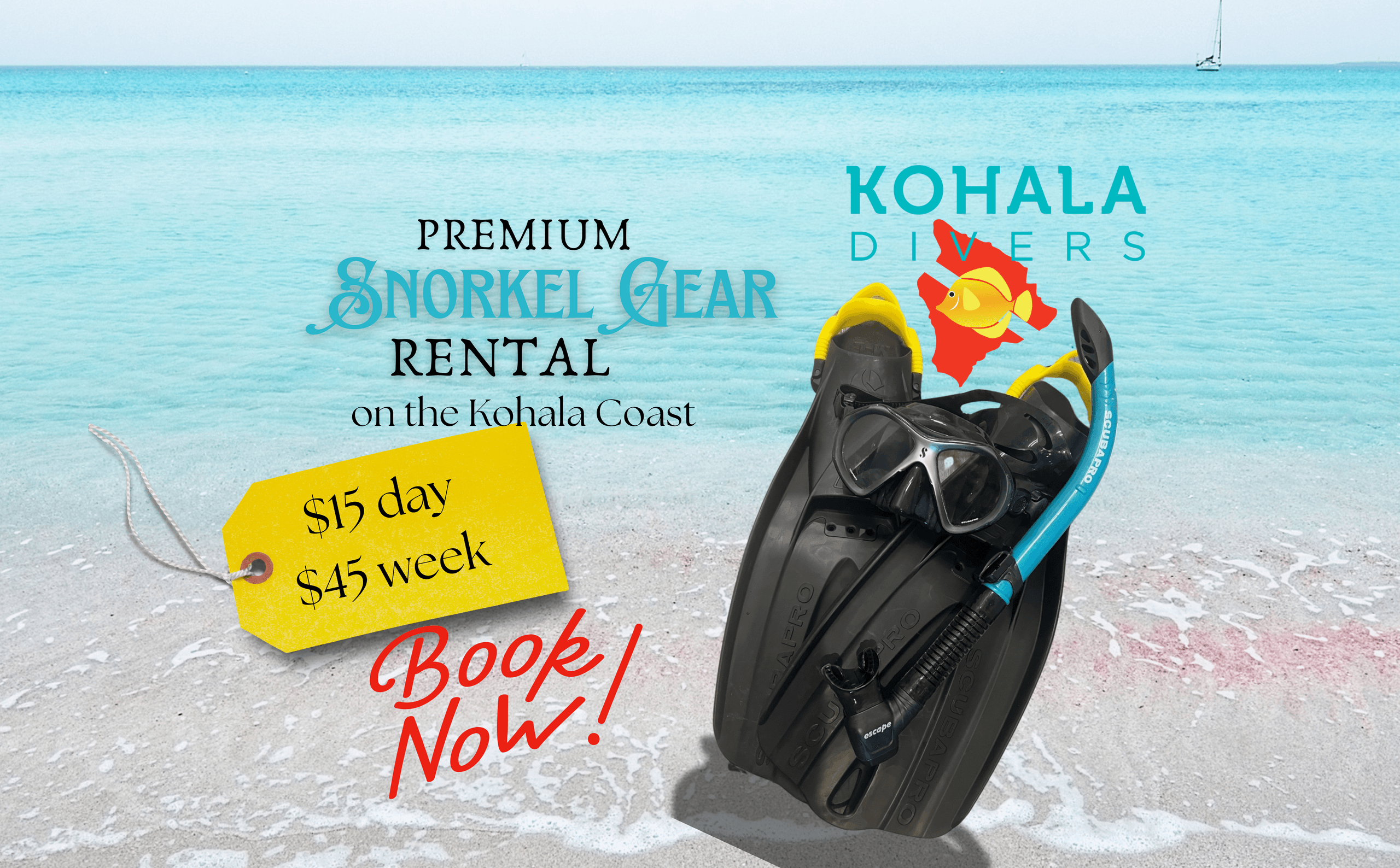 Two Day Rental