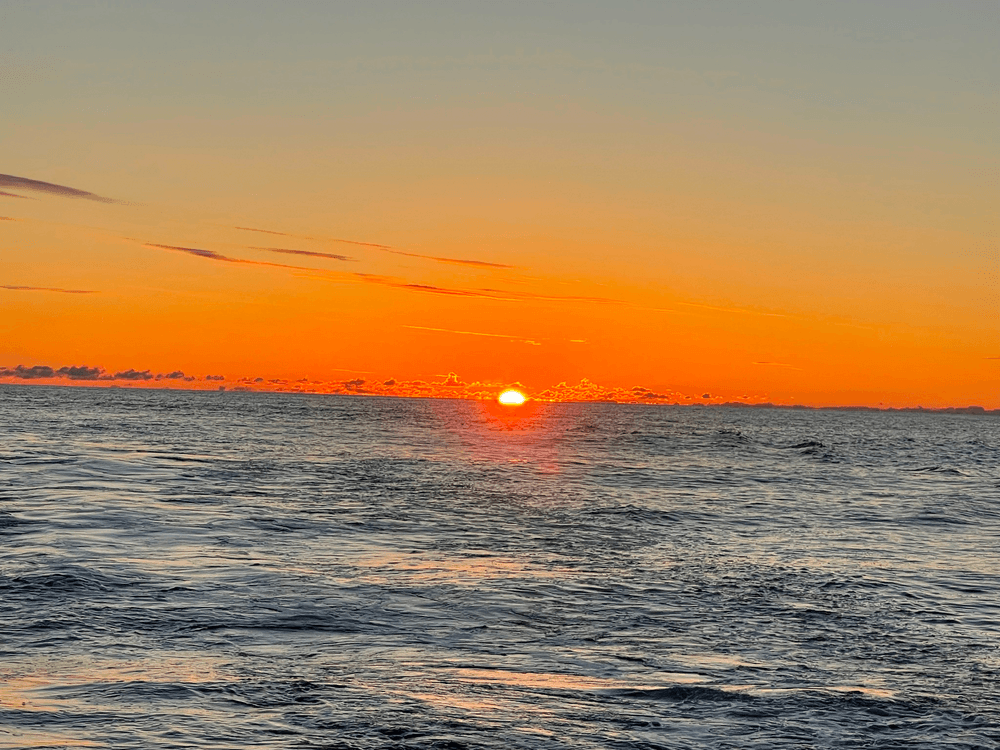 Sunset Cruise - Seaside Heights
