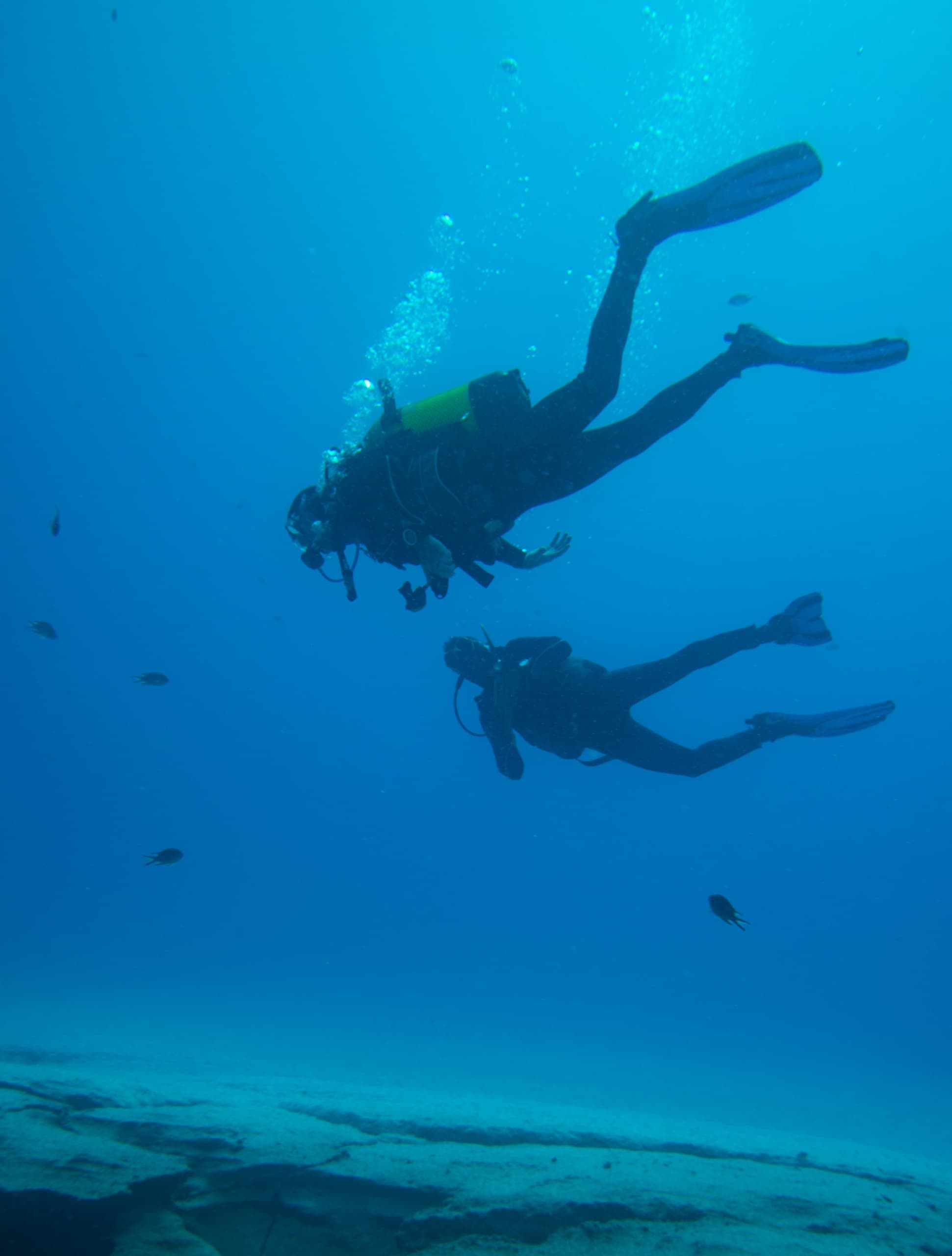 Scuba Diving, Greek Seafood, Local Wine/Beer & Sailing Tour