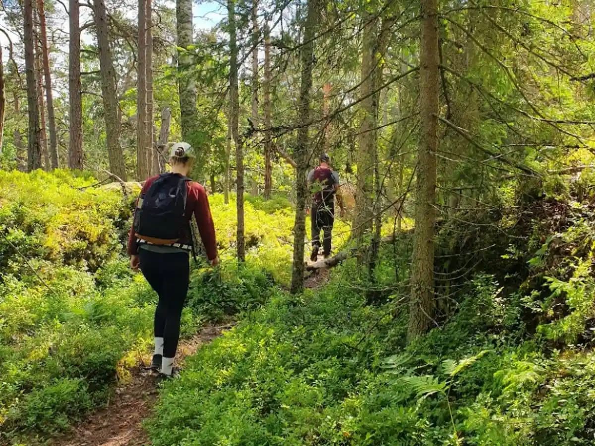 5h Hiking Tour  Nacka Nature Reserve