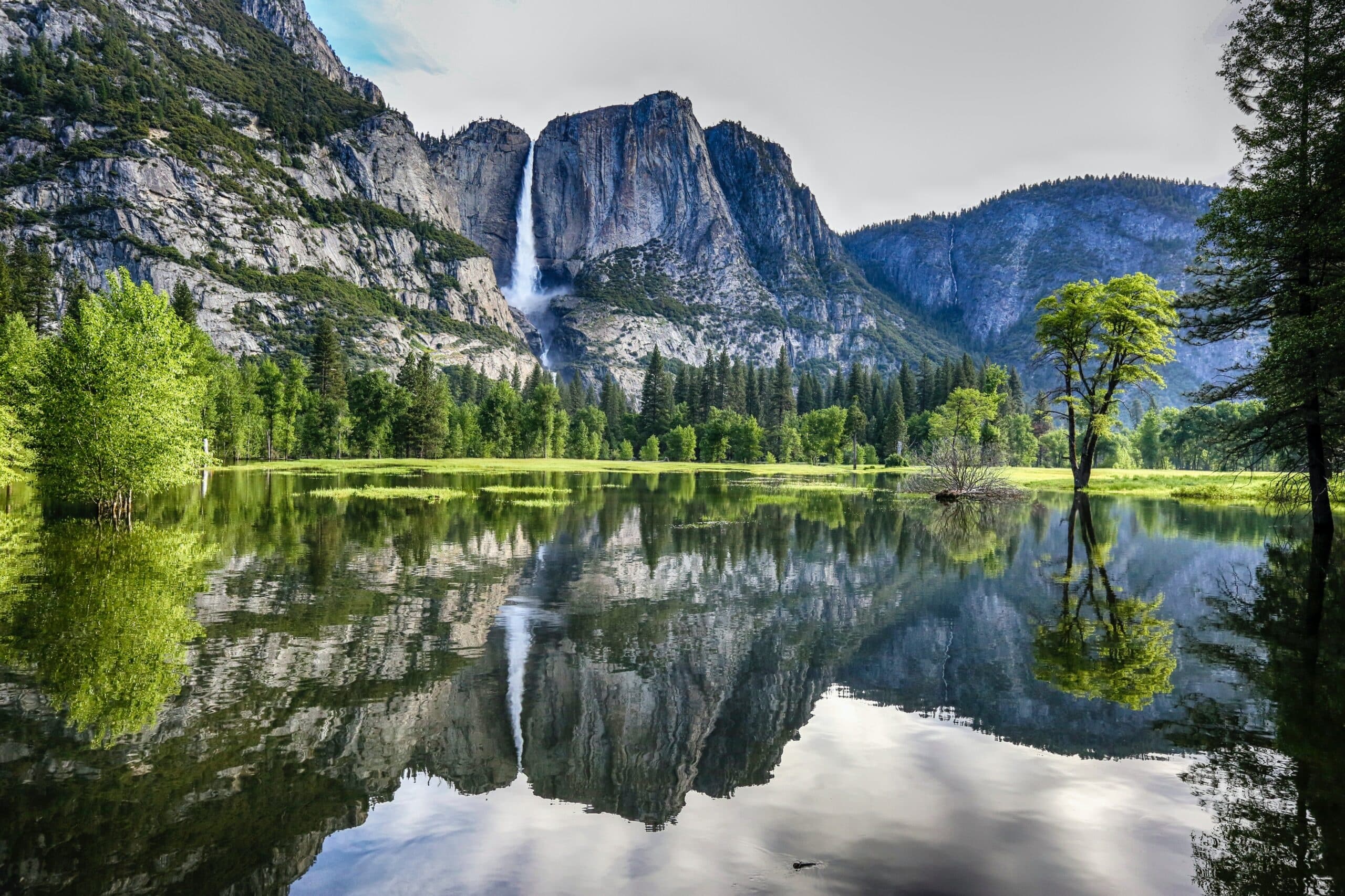 Yosemite and Giant Sequoias Day Tour from San Francisco