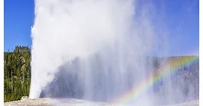 Yellowstone Full-Day Van Tour