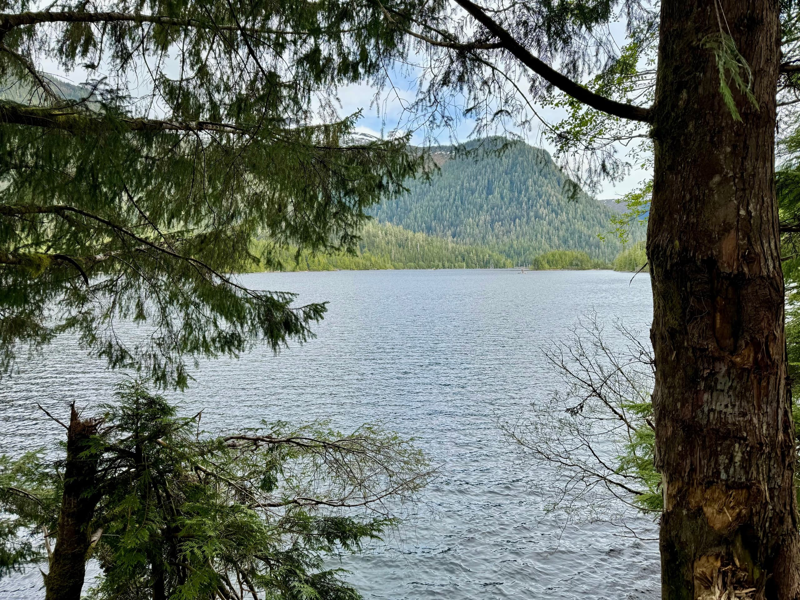 Connell Lake Trail Hike