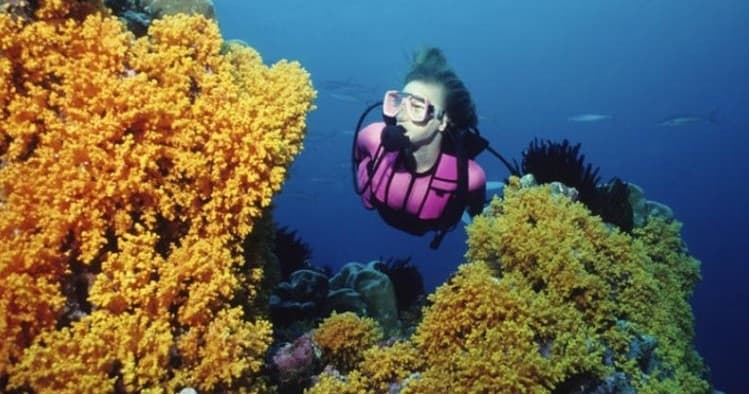 Discover SCUBA Diving