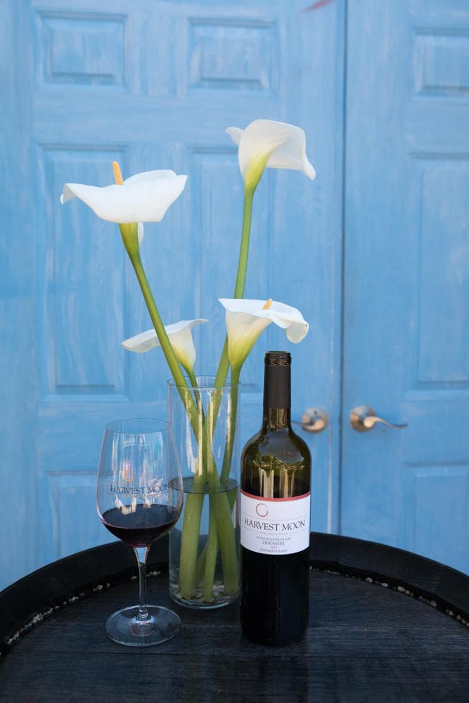 Russian River Valley Wineries and Redwoods Day Trip