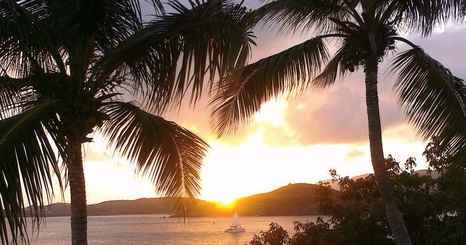 SUNSET & Harbor Lights Dinner Sail