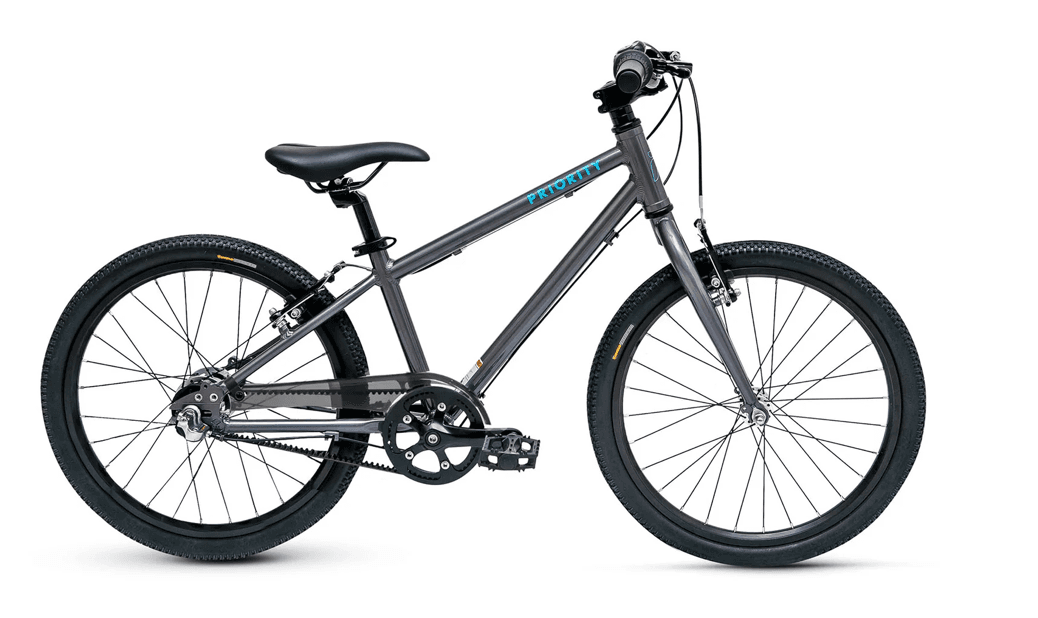 Kid's Bicycle 20 inch