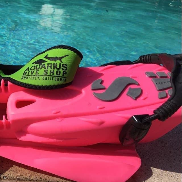 Snorkel Package