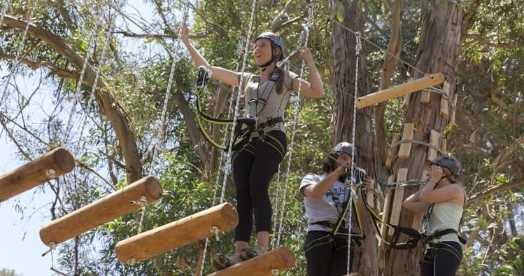 Catalina Aerial Adventure