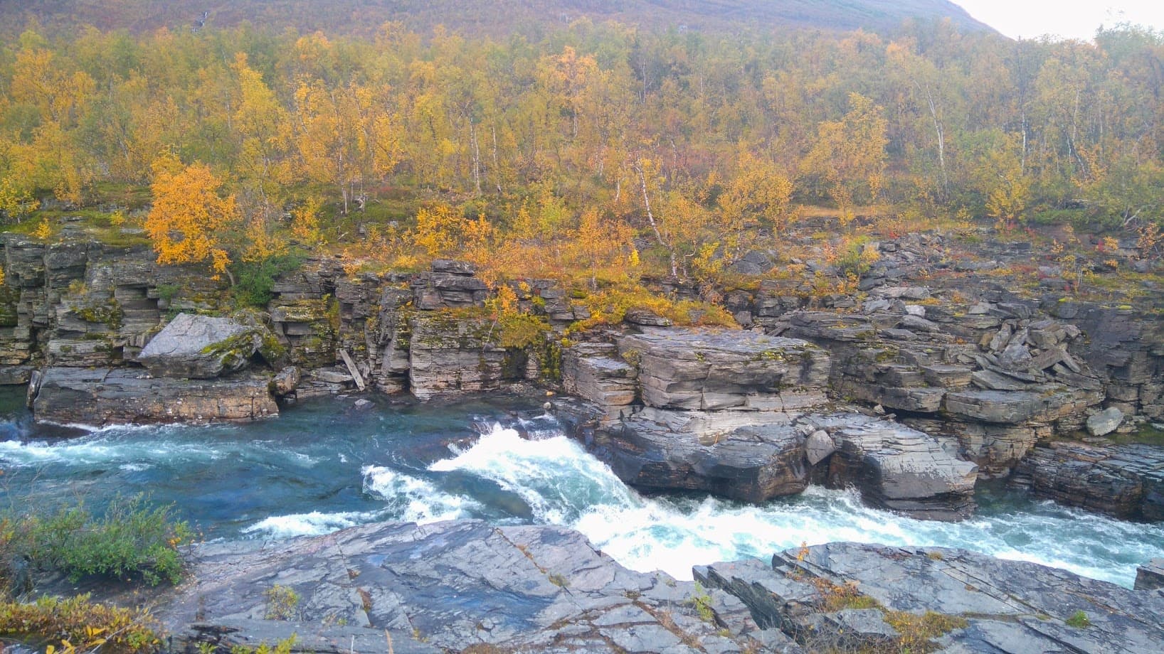 Tour to Abisko National Park