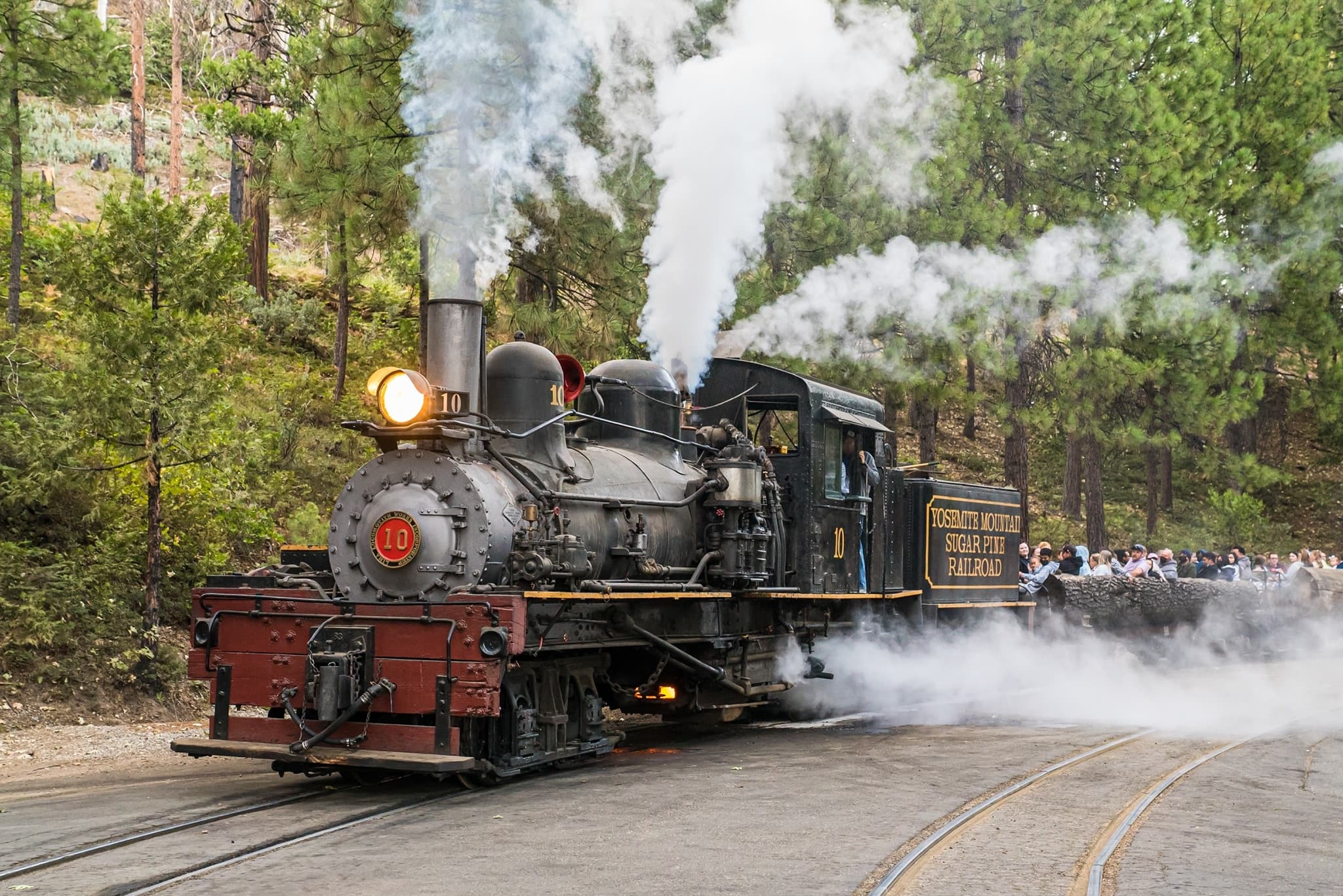 Logger Steam Train 🚂
