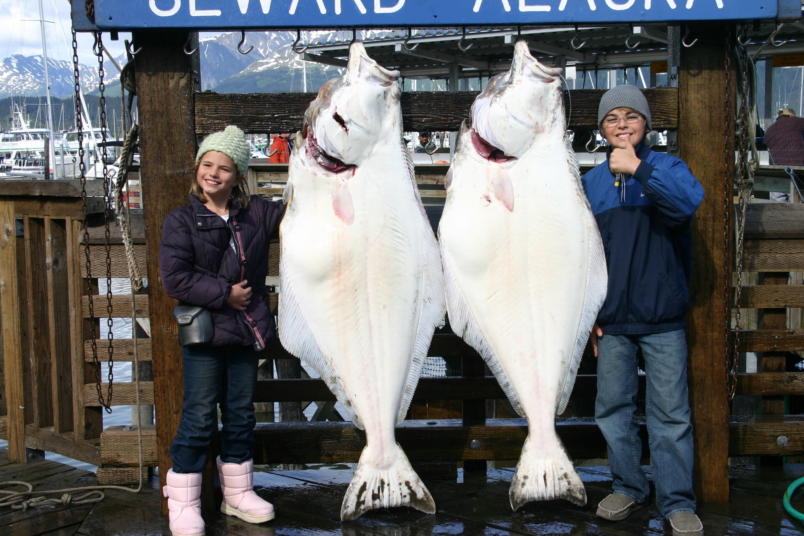 Halibut Fishing
