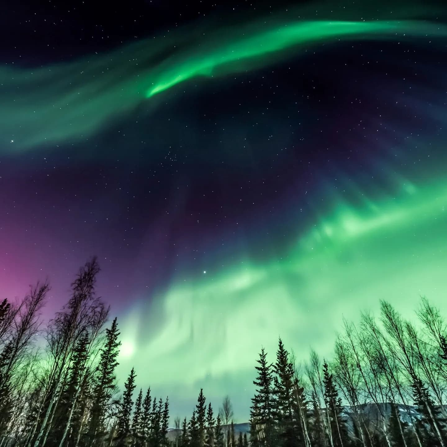 Northern Lights Adventure