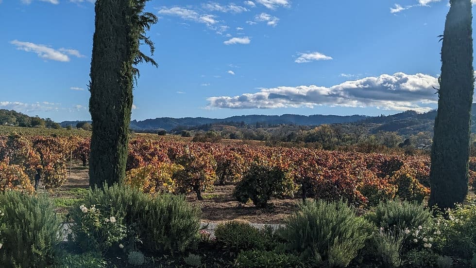 A Taste of Dry Creek Valley