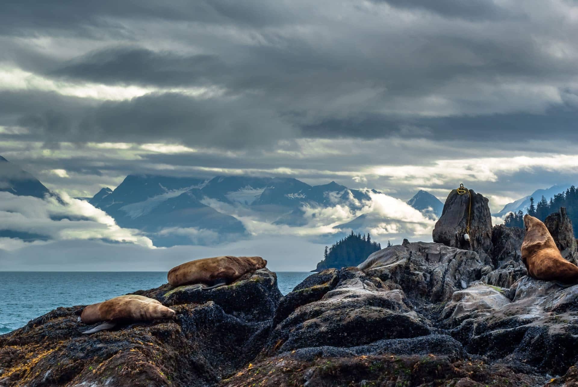 Six Day Shoup Glacier to Columbia Glacier
