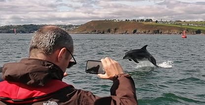 Wildlife & Coastal Exploration