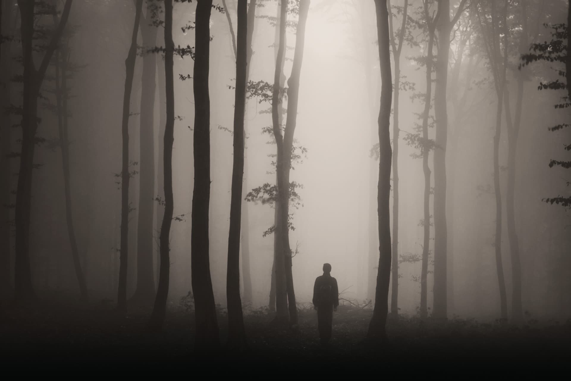 Gettysburg Ghost Hunt Tour with Ghost Hunting Equipment